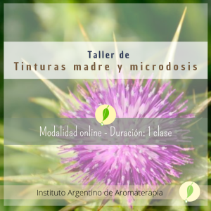 TALLER DE TINTURAS MADRE Y MICRODOSIS (ONLINE)